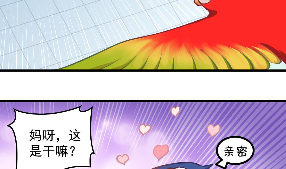 第052话 可爱的小鹦鹉-第54话