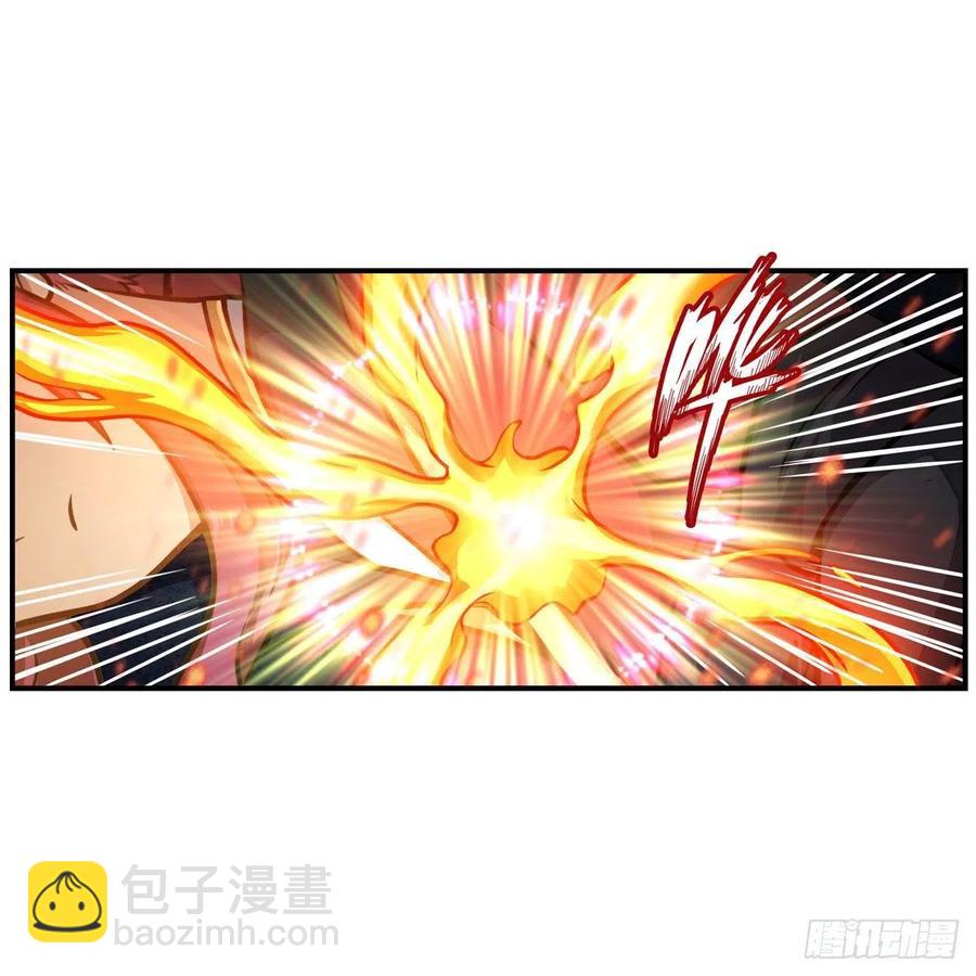 第204话 护身灵兽(1/2)-第208话