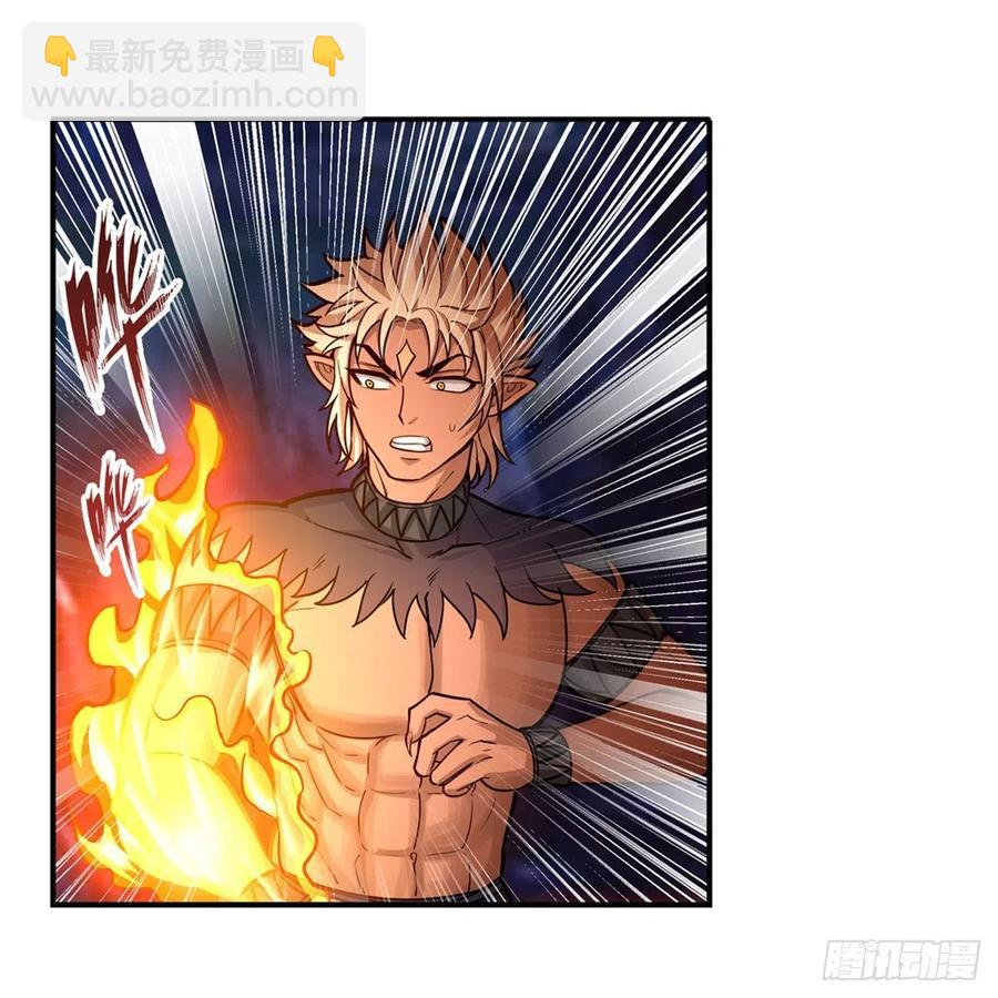 第204话 护身灵兽(1/2)-第208话