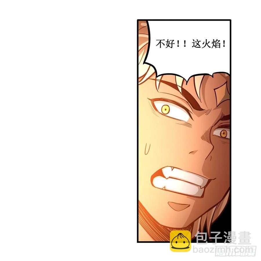 第204话 护身灵兽(1/2)-第208话