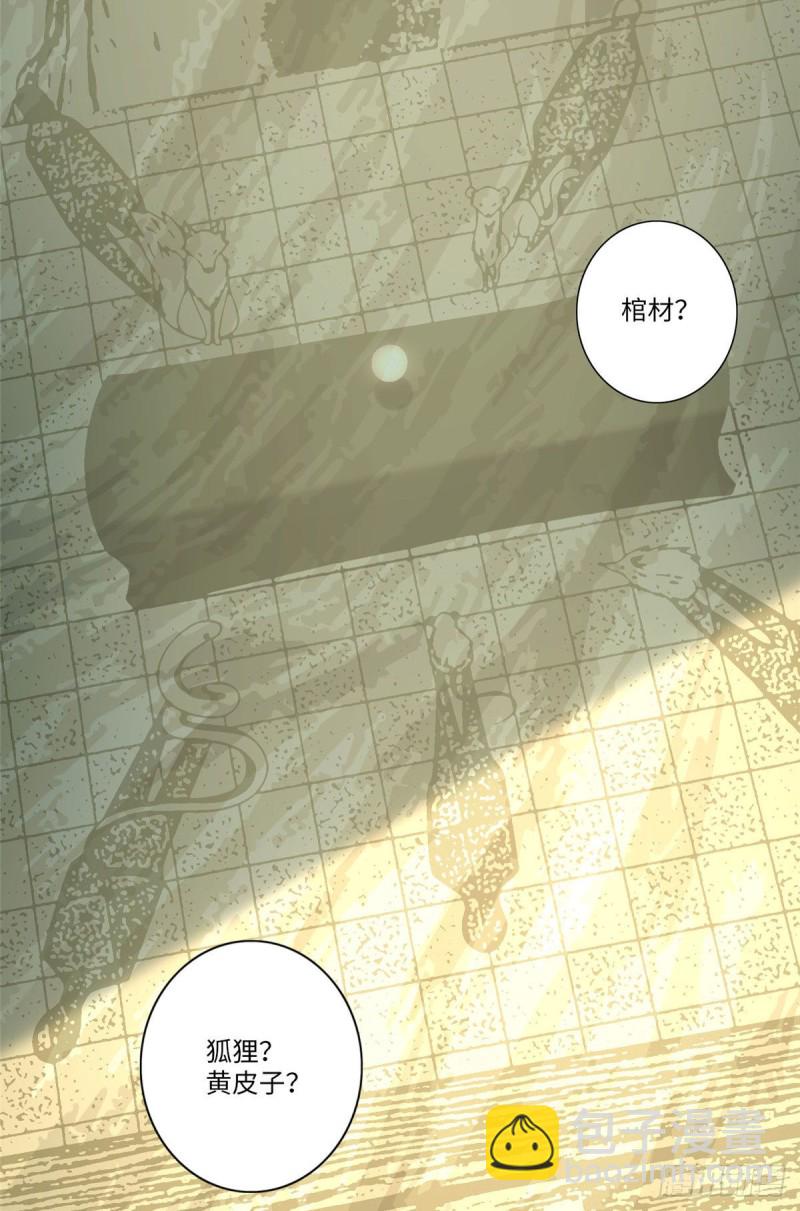 082-第80话