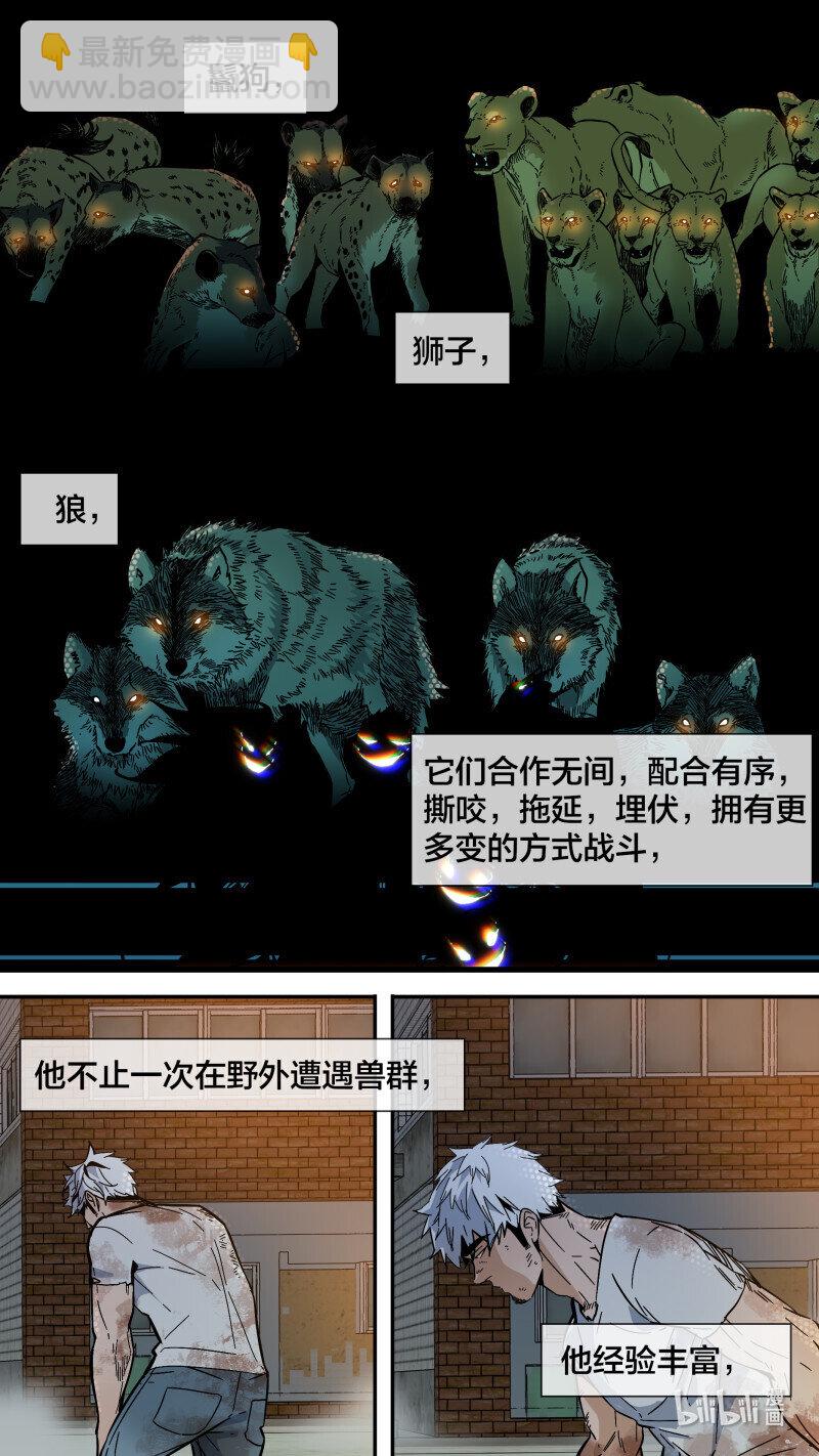 278 【止战之殇】006-第274话