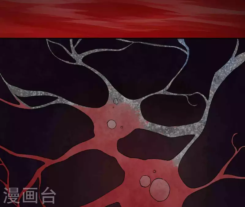 第6话 起死回生的能力？！(1/2)-第6话