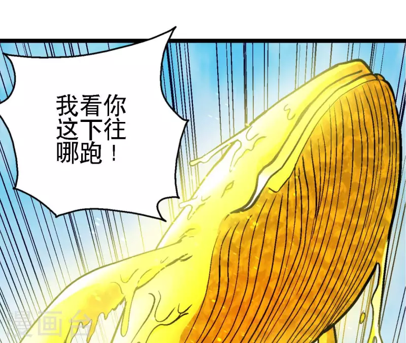 第64话 蓝鲸的智慧(1/2)-第64话