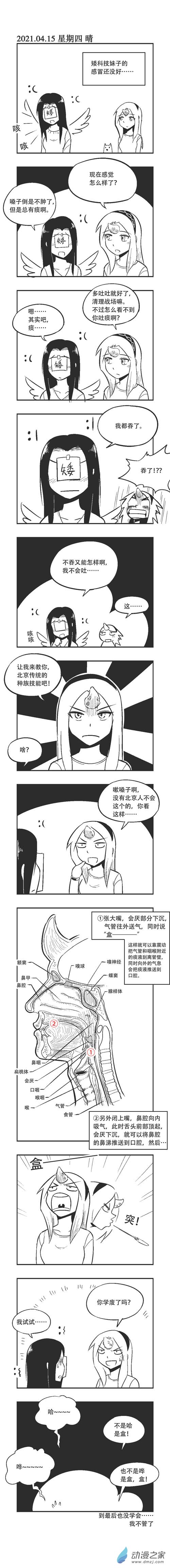 0062 北京传统技能-第62话