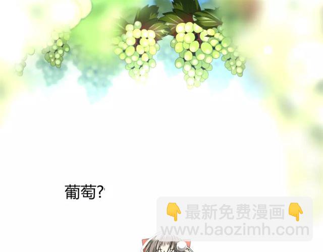 番外1  绿葡萄之夜（上）(1/3)-第32话