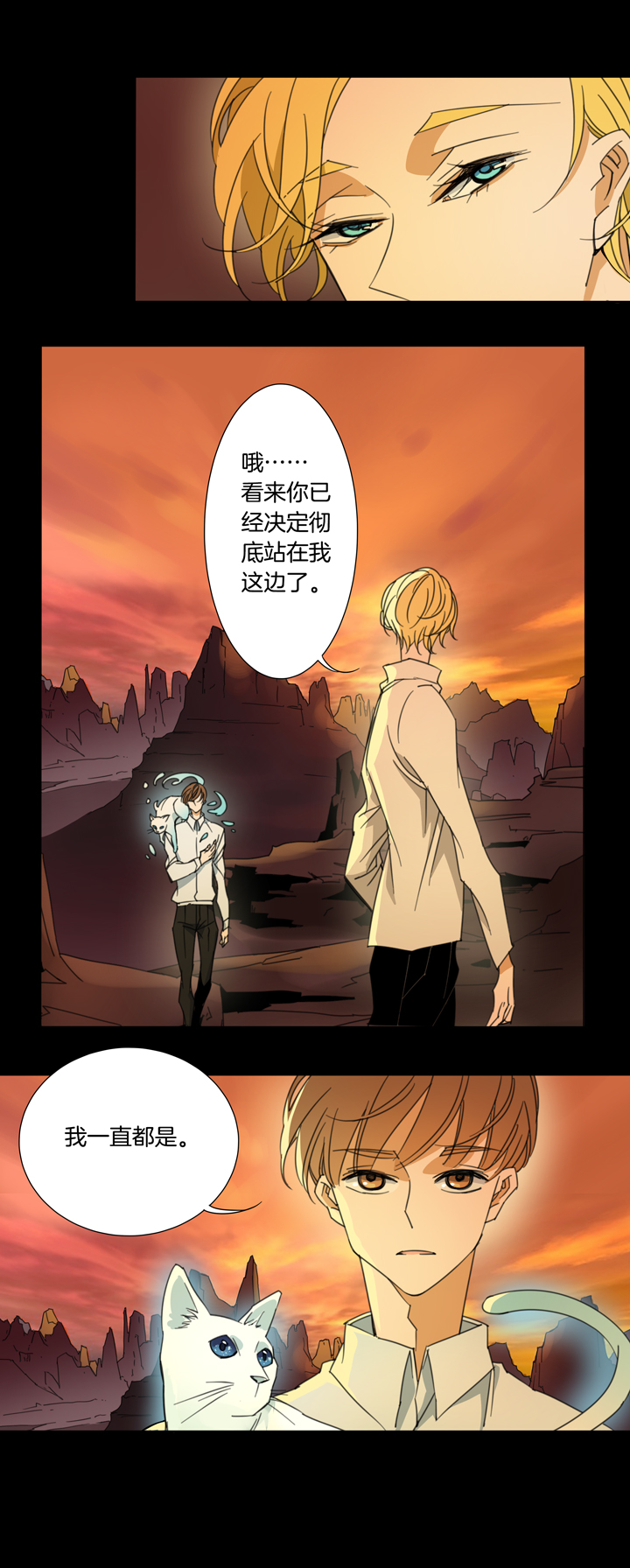 115猫⑫-第116话