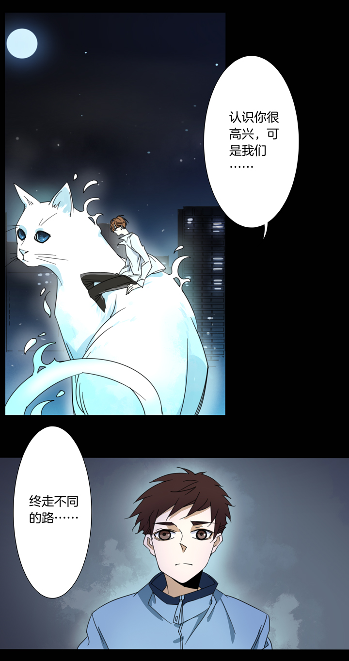 115猫⑫-第116话