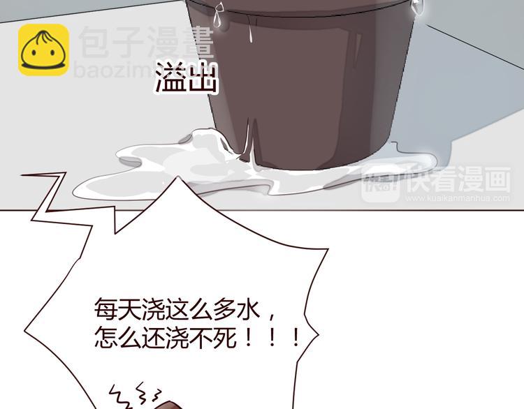 第1话 最帅仙人掌登场！(1/3)-第2话