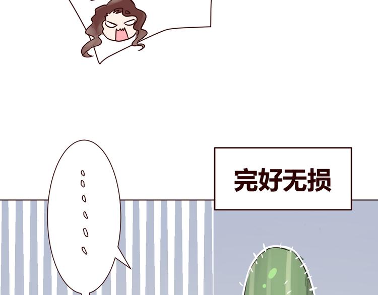 第1话 最帅仙人掌登场！(1/3)-第2话
