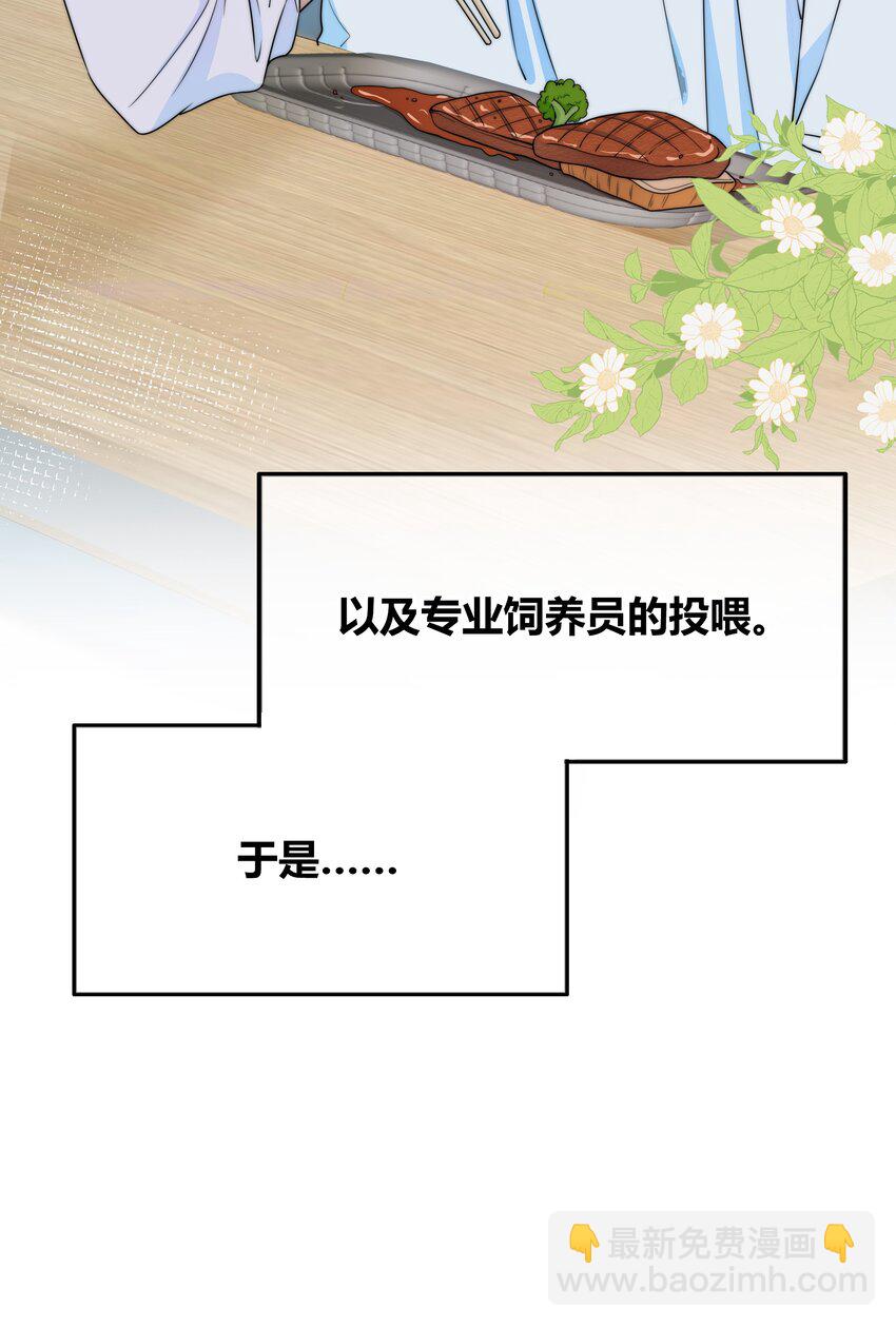 028 性感的腹肌照-第28话