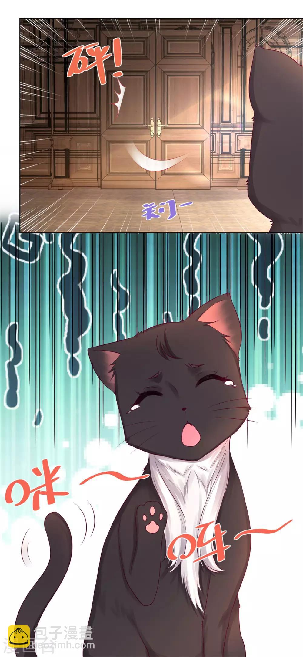 第8话 猫的变身-第8话