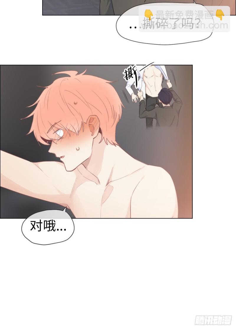 🍚相濡易木 第68话：解约 第19页