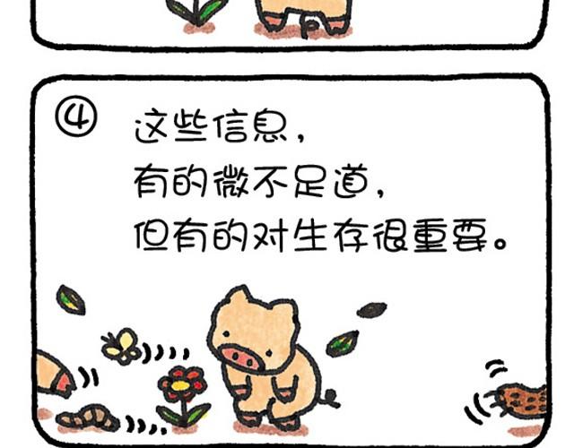 第22话 错误的判断-第22话