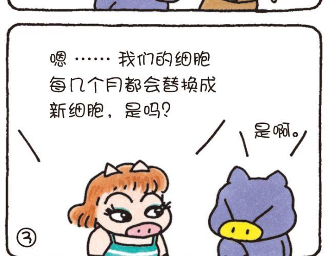 第46话 变化和永远-第46话