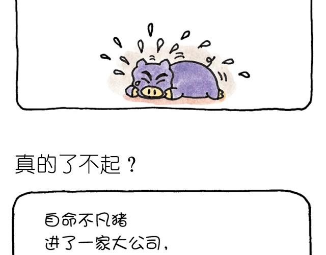 第8话 不切实际的猪-第8话
