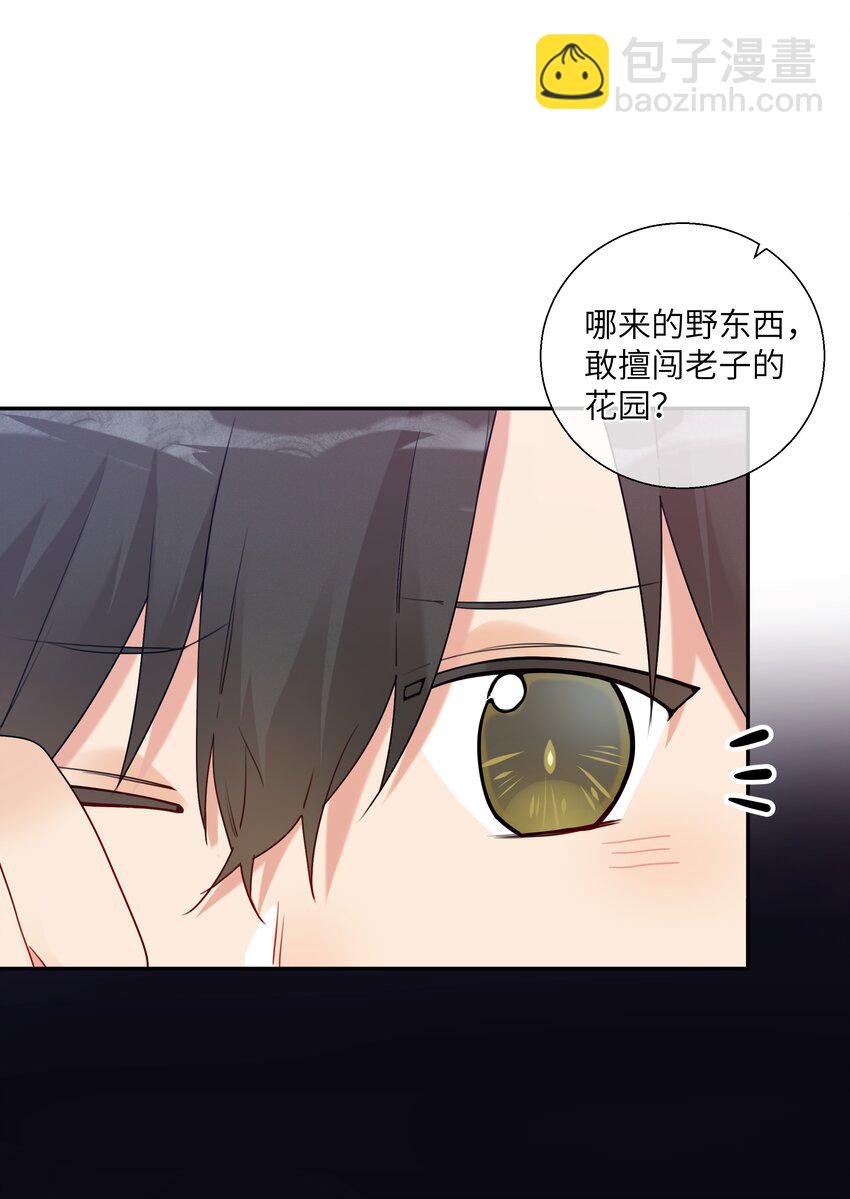 番外篇 大事不好啦！-第48话