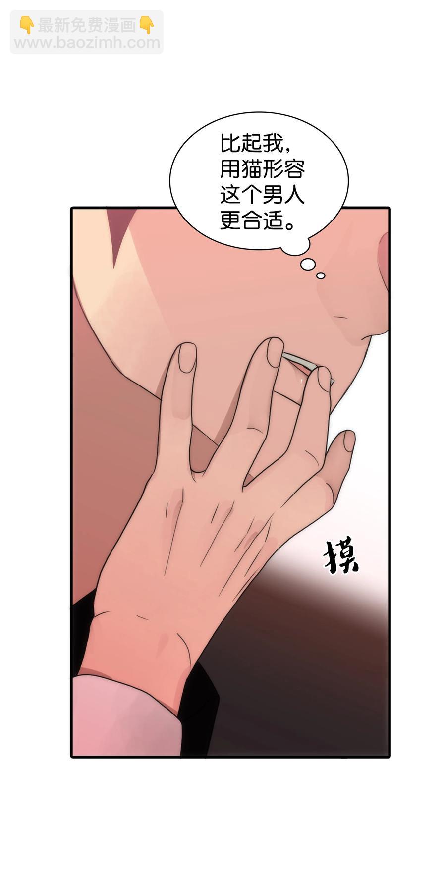26 小猫咪还是大老虎？(1/2)-第26话