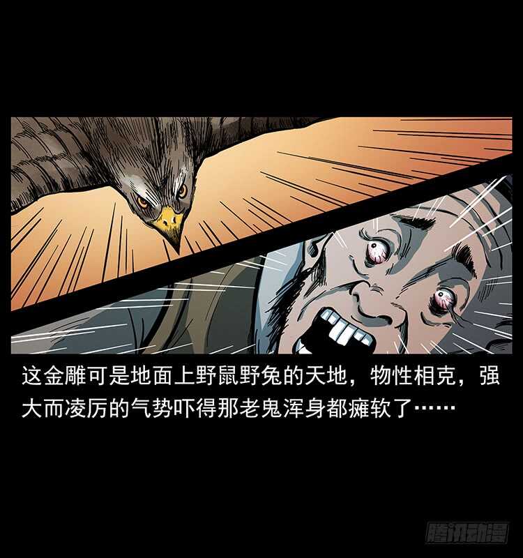 杀出的救兵(1/2)-第106话