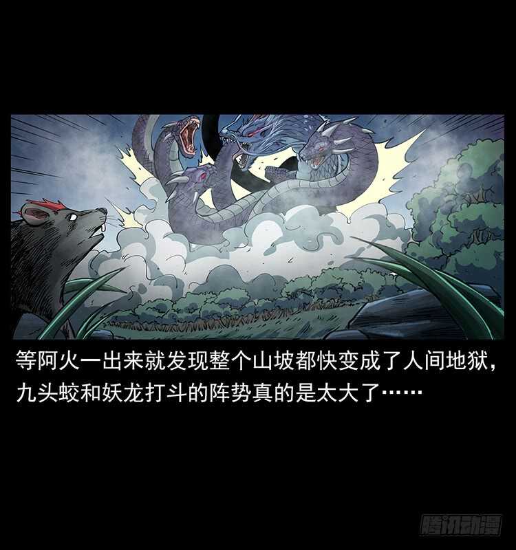 不一样的廖凤一(1/2)-第114话