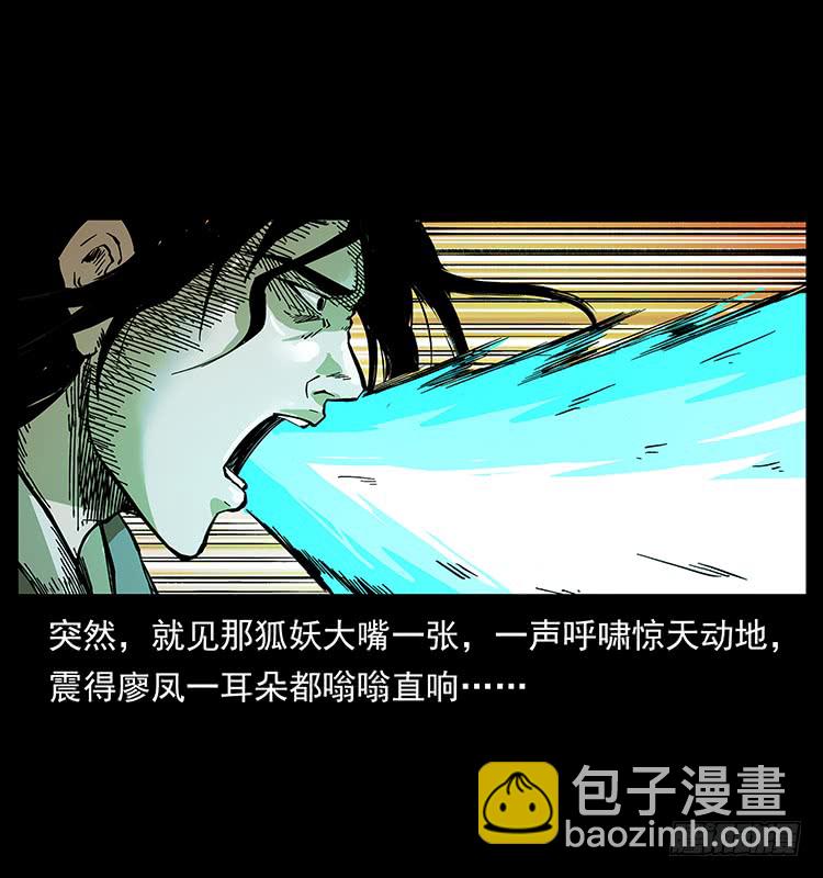 战黑狐(1/2)-第58话