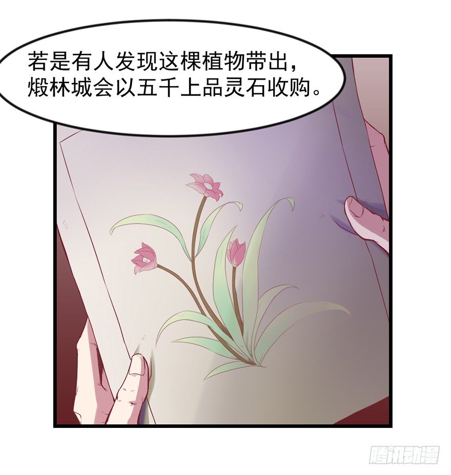 🍚仙商 上古秘境（一） 第31页
