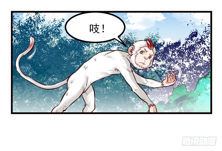 🍚仙商 这是藏宝地？ 第12页