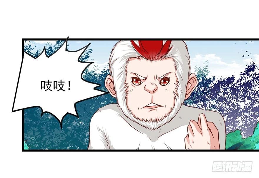 🍚仙商 义气 第13页