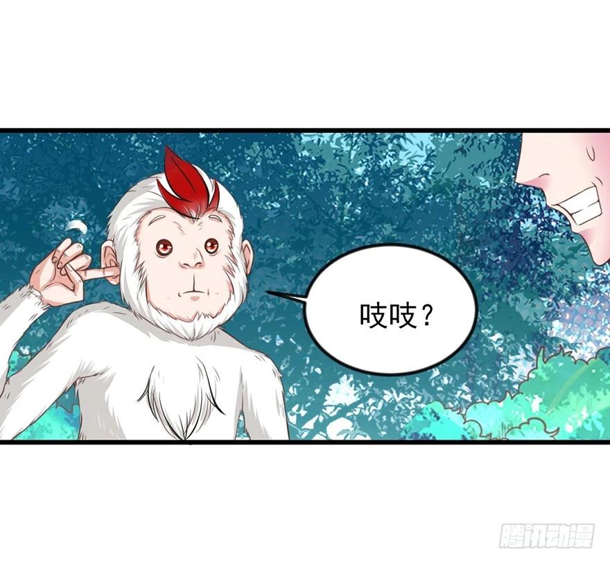 🍚仙商 义气 第4页