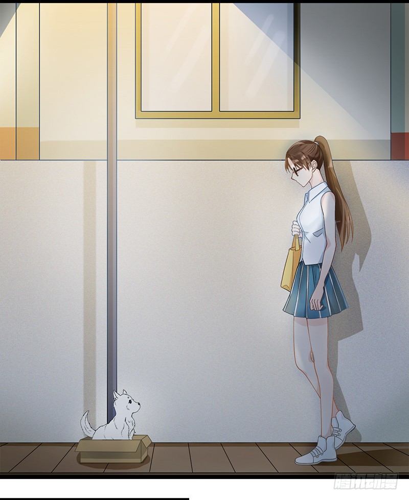阴郁女和流浪狗(1/2)-第2话