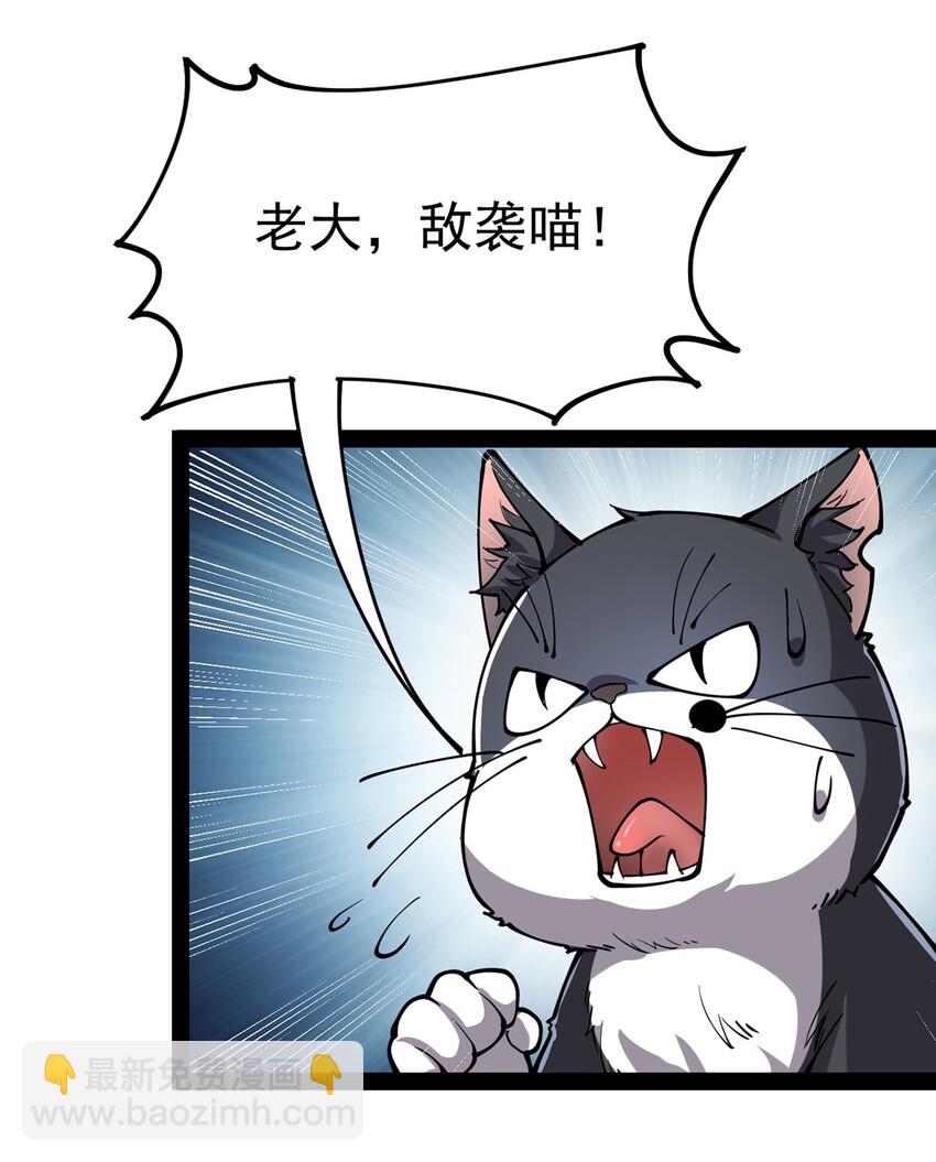 034 喵喵喵？？-第36话