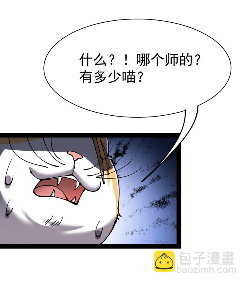 034 喵喵喵？？-第36话