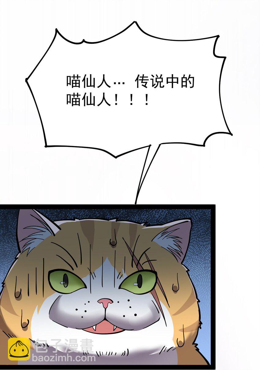034 喵喵喵？？-第36话