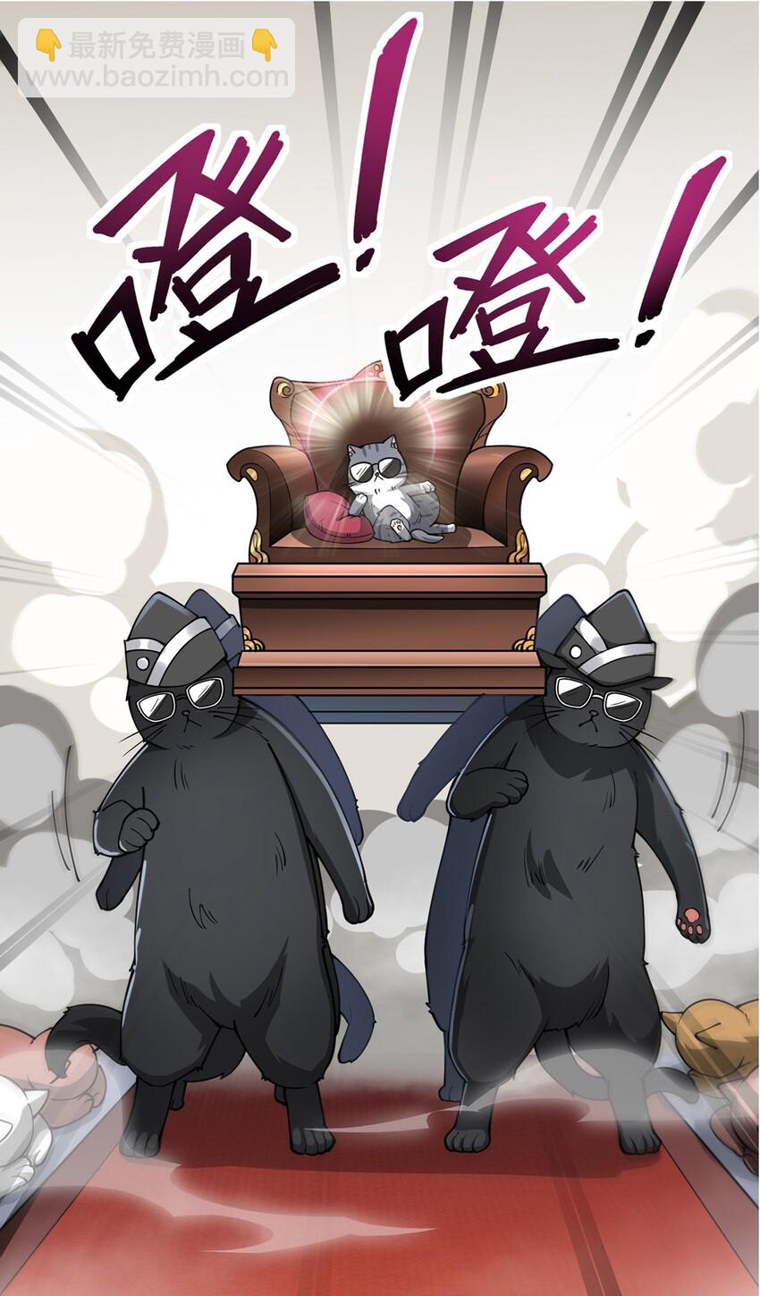 036 喵仙人出场！-第38话