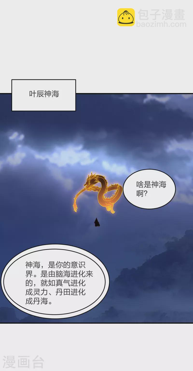 🍚仙武帝尊 第300话 神海！ 第46页