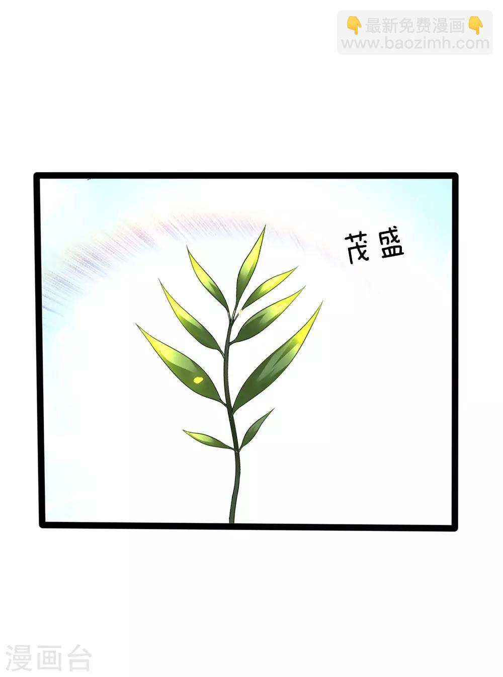 🍚仙尊奶爸当赘婿 第154话 樊家信物，摘寻阳草 第28页