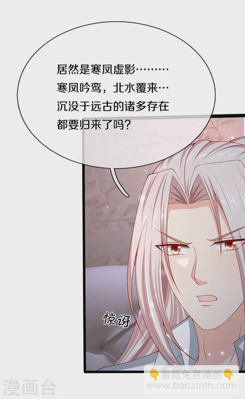 🍚仙尊奶爸当赘婿 第200话 北寒天阴，寒凤虚影 第10页