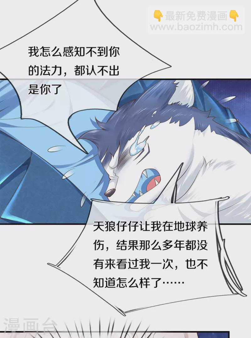 🍚仙尊奶爸当赘婿 第212话 幻梦心狼，故人之宠 第12页