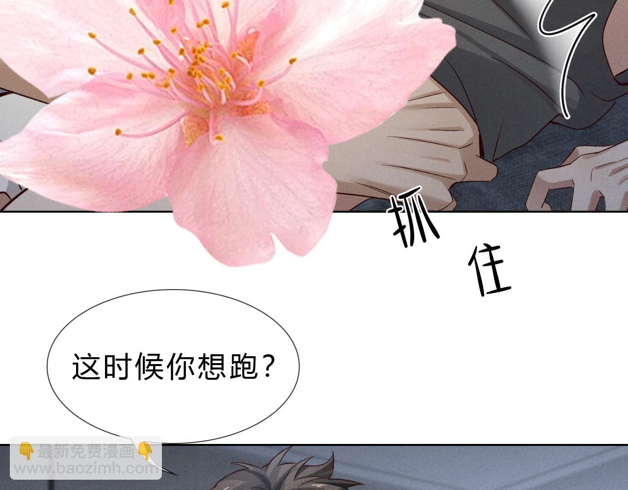 第41话 大哥，饶了我吧！(1/3)-第48话
