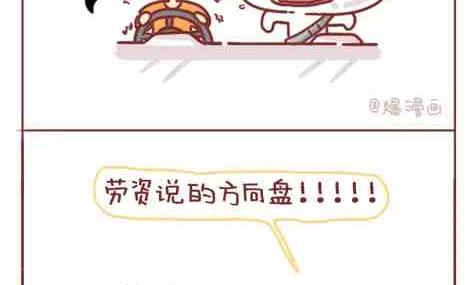 🍚小编木木/爆漫画 考驾照是种什么样的体验 第13页