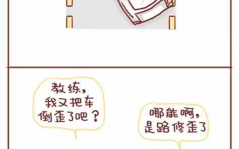 🍚小编木木/爆漫画 考驾照是种什么样的体验 第18页