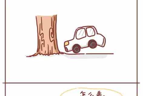 🍚小编木木/爆漫画 考驾照是种什么样的体验 第2页