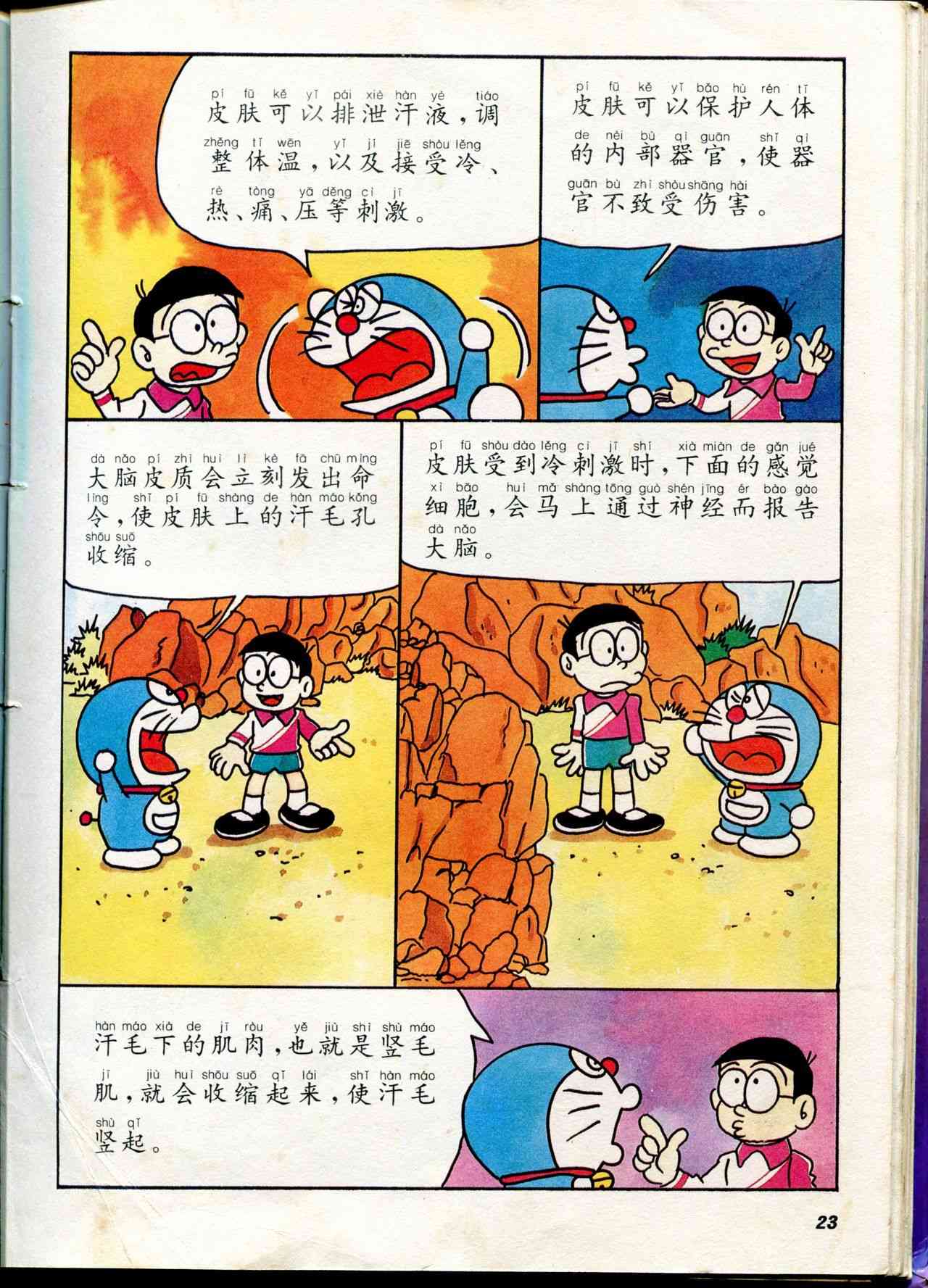🍚小叮当科学趣味小百科 自然小百科 第24页