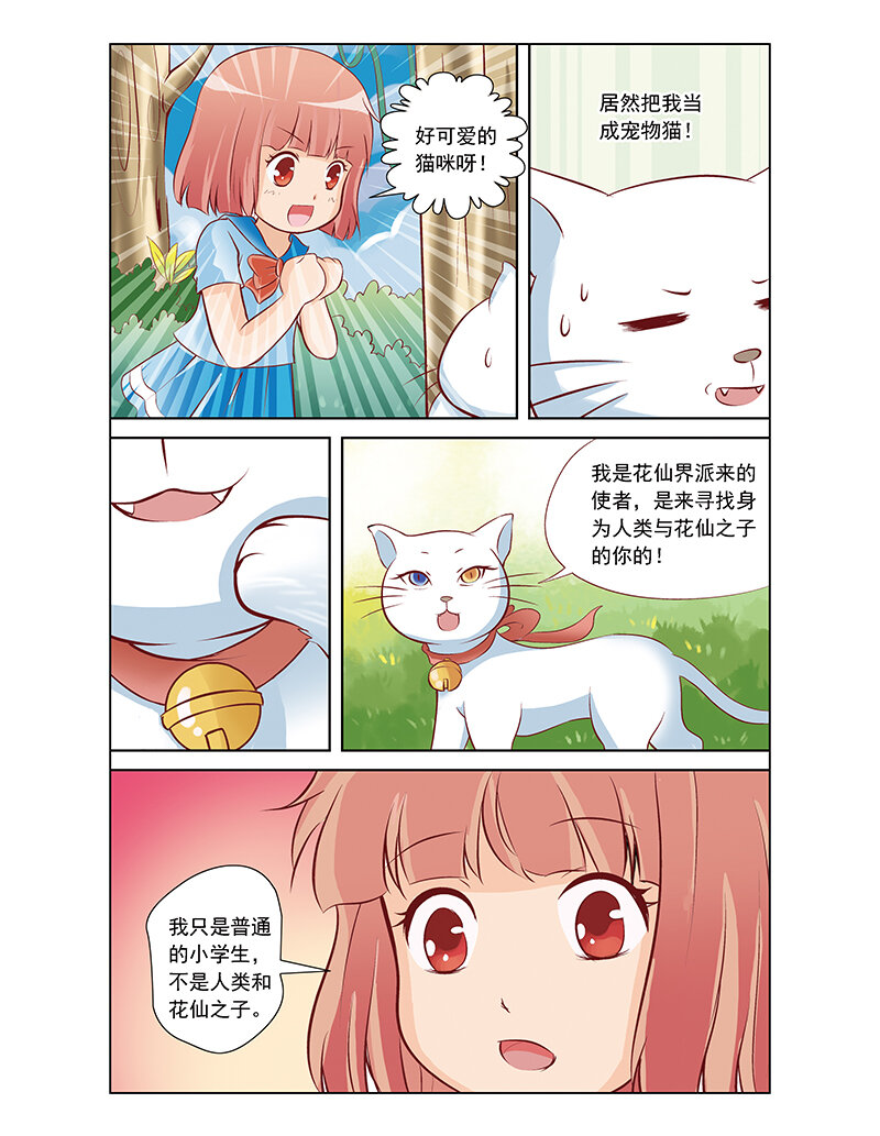 🍚小花仙 第二回 精灵世界 第5页