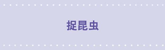 108 捉昆虫-第108话