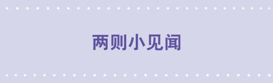 144 两则小见闻-第144话