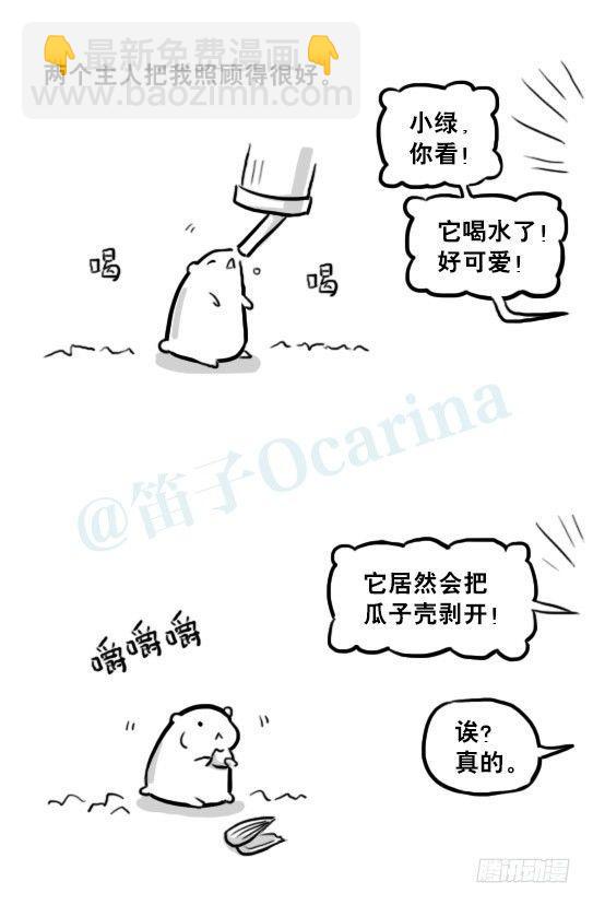 216 纪念物（上）(1/3)-第216话
