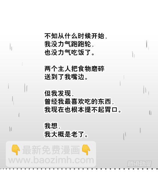 216 纪念物（上）(1/3)-第216话