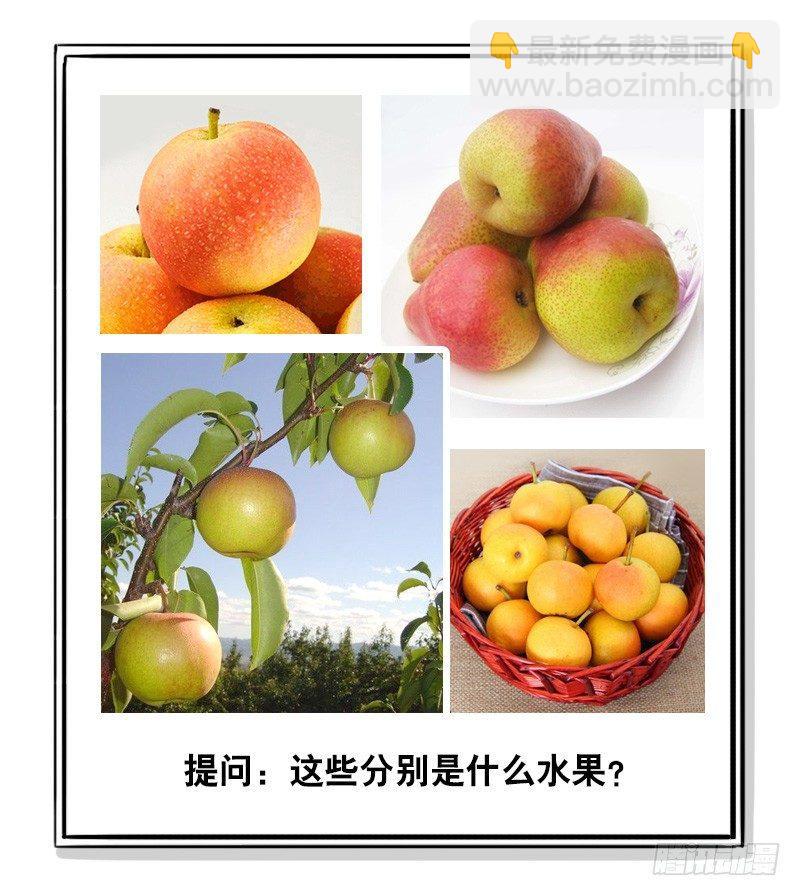 294 动画吐槽05-第294话
