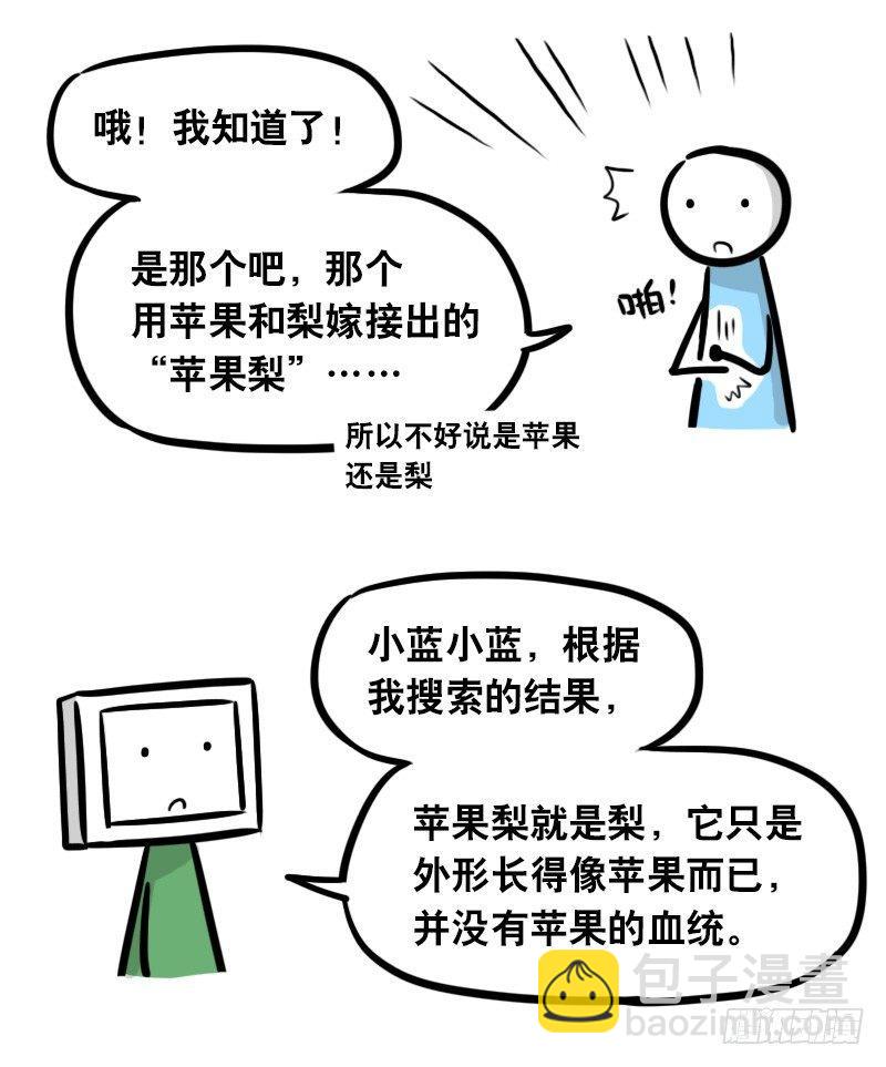 294 动画吐槽05-第294话